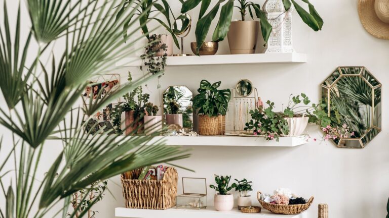 The Role of Indoor Plants in Enhancing Workspaces and Homes