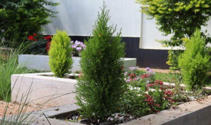 G-Time Group | Landscaping Maintenance Services